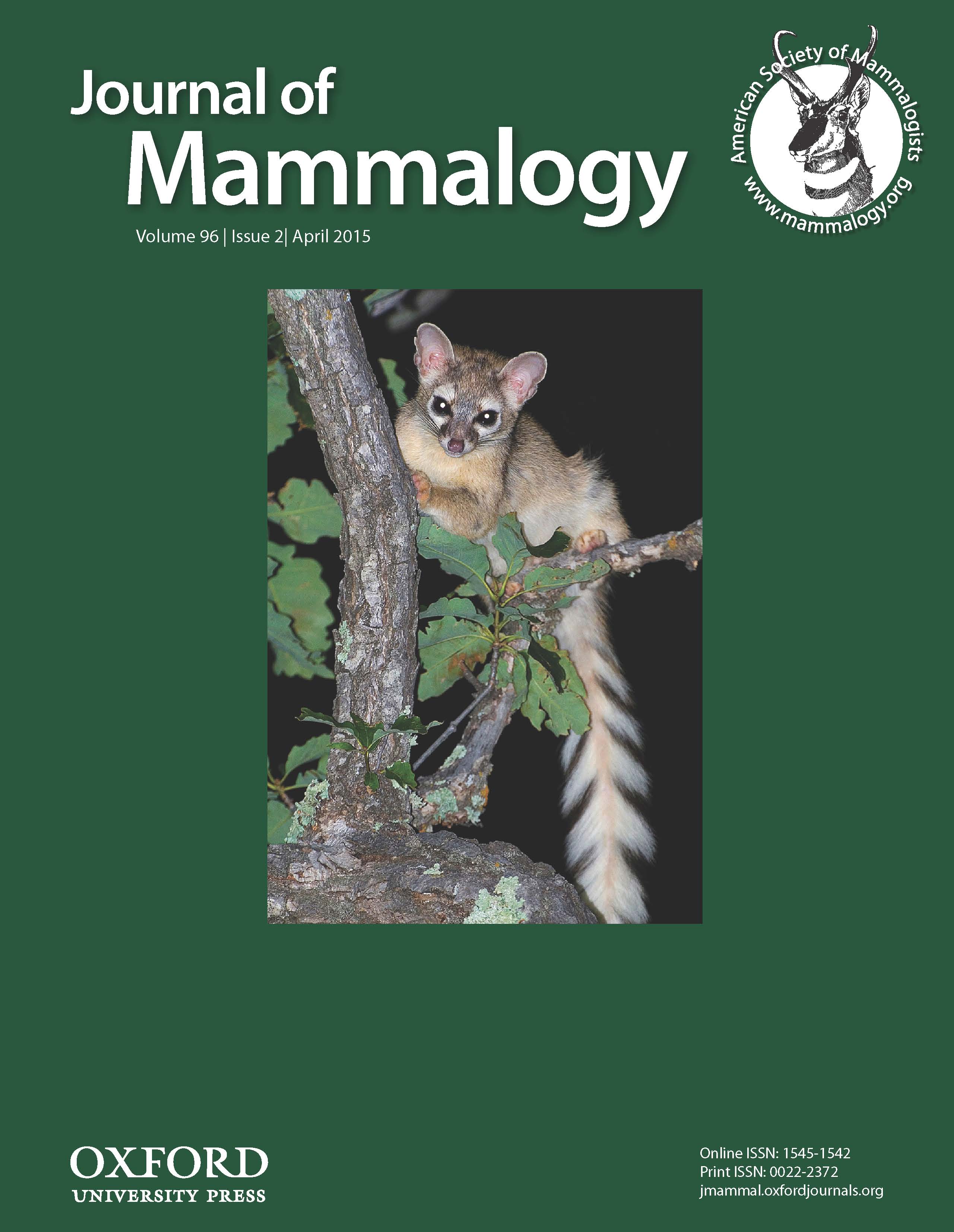lonsinger discussing the fine-scale genetics of the ringtail cat